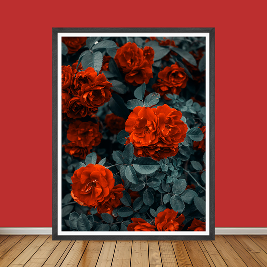 Red Petal Garden Roses | Floral Wall Art | Single Panel
